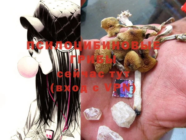 ECSTASY Вязьма