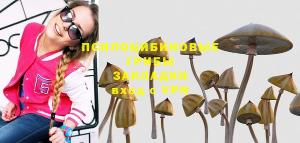 героин Алзамай