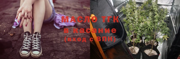 сатива Алексеевка